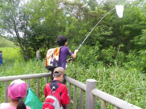 長い網がかっこいい！