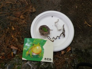 ごちそうを作ろう！