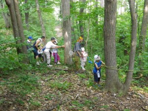 目隠しトレイル