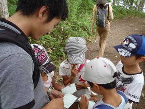 ネイチャービンゴ