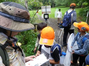 図鑑で調べて・・・・・