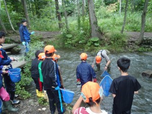 水生昆虫の採集方法