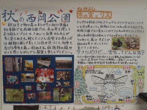 秋の西岡公園を紹介