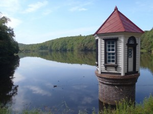 もうすぐ紅葉するかな？