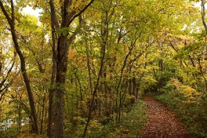 HP20131022BSansakuro