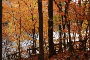 2013年10月29日湖面