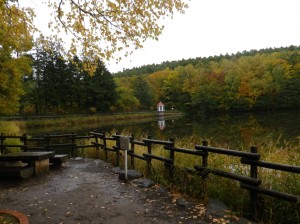 水源池の紅葉