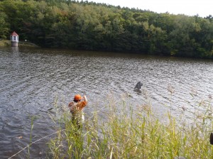 「どう」の設置