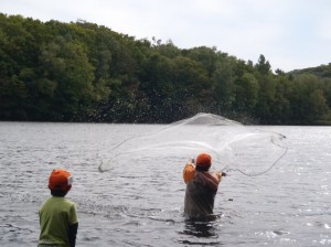 綺麗に広がる投網