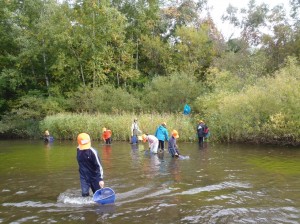 意外と遠浅な水源地