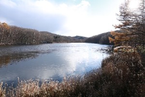 2013年11月12日の池