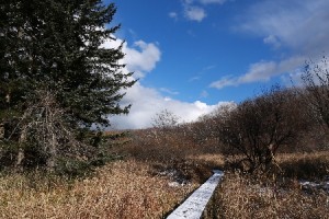 2013年11月12日の木道