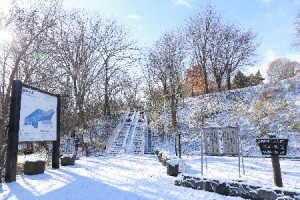 2013年11月12日の駐車場と階段