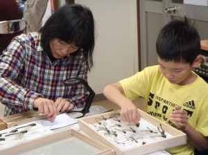 細かい作業が続きます