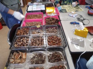 たくさんの木の実で作成