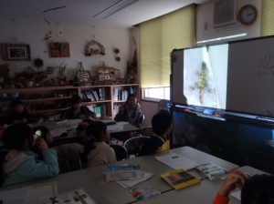 沖縄のトンボのお話