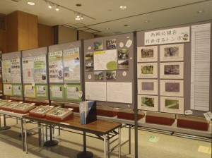 ヤンマ団の展示