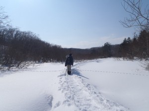 今の木道の状況