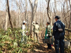 樹名板のとりつけ