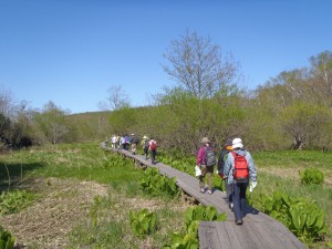 2014年5月の様子