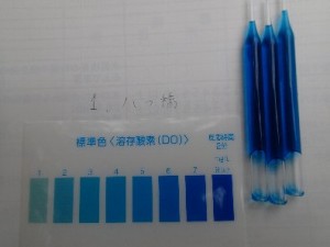 DO溶存酸素