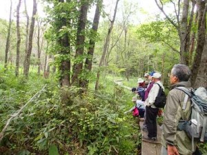 ガイドウォーク6/20