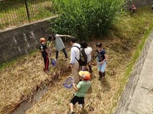 吉田川調査中