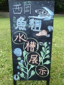 水槽展示開催