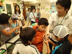 カエルのおなかの中は・・・