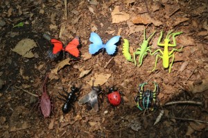 カモフラージュ