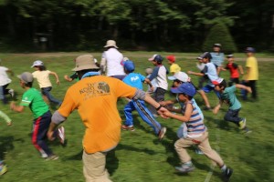 フクロウとカラス