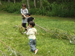 ヤナギの枝運び