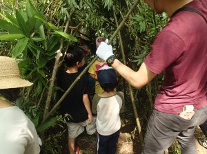 葉っぱをつけて・・・