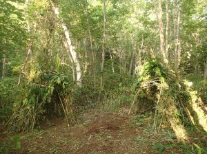 お家のその後・・・