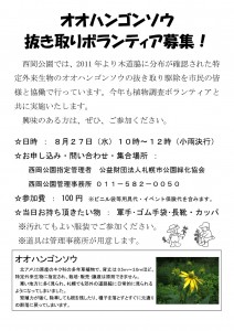 オオハンゴンソウチラシ