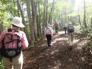 ９月１２日ガイドウォーク