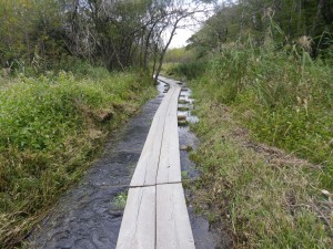 通行止めを解除する木道