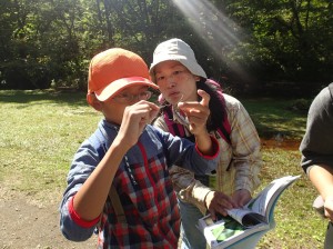 アオイトトンボ