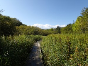 9月20日木道の様子