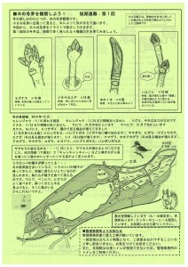 西岡見聞録2014年12月号裏