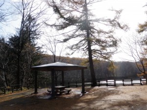 あずまやの様子