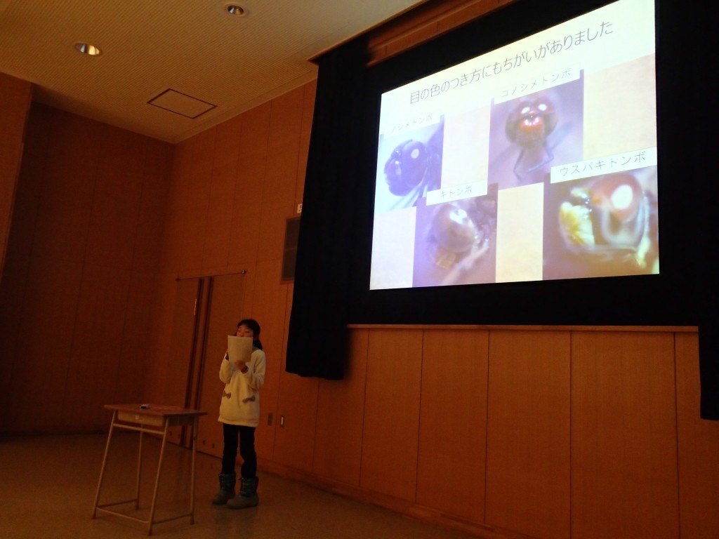 顔でトンボを見分ける!!