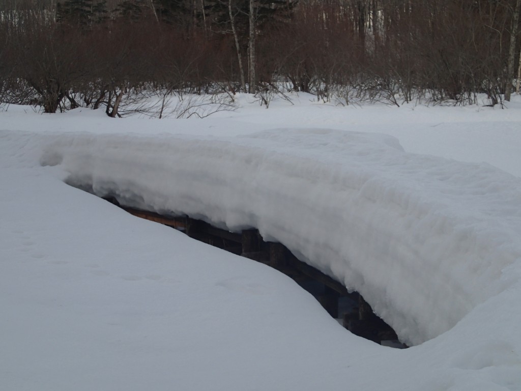 木道積雪状況