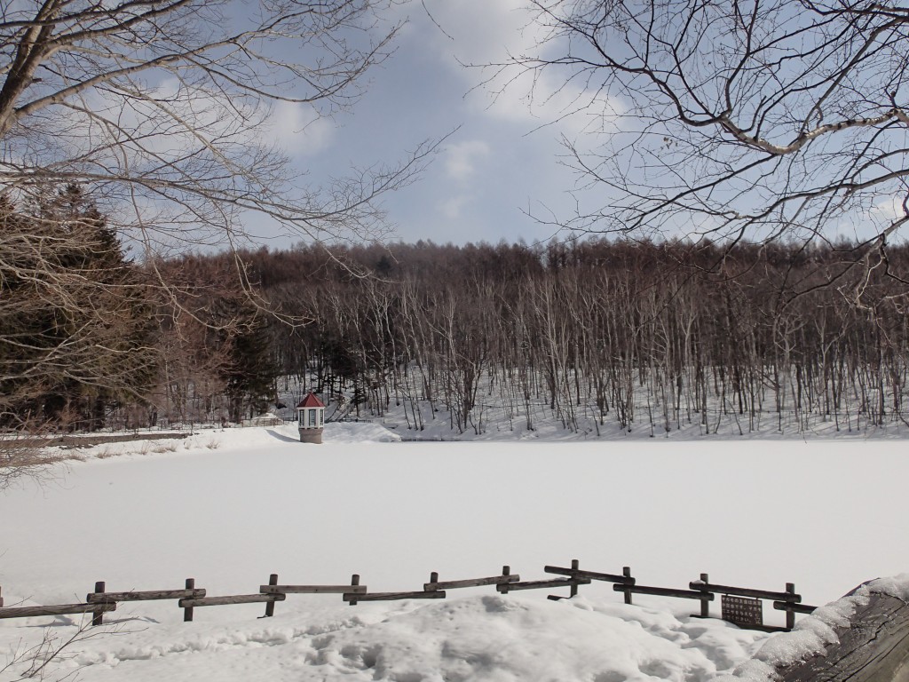 取水塔が綺麗です