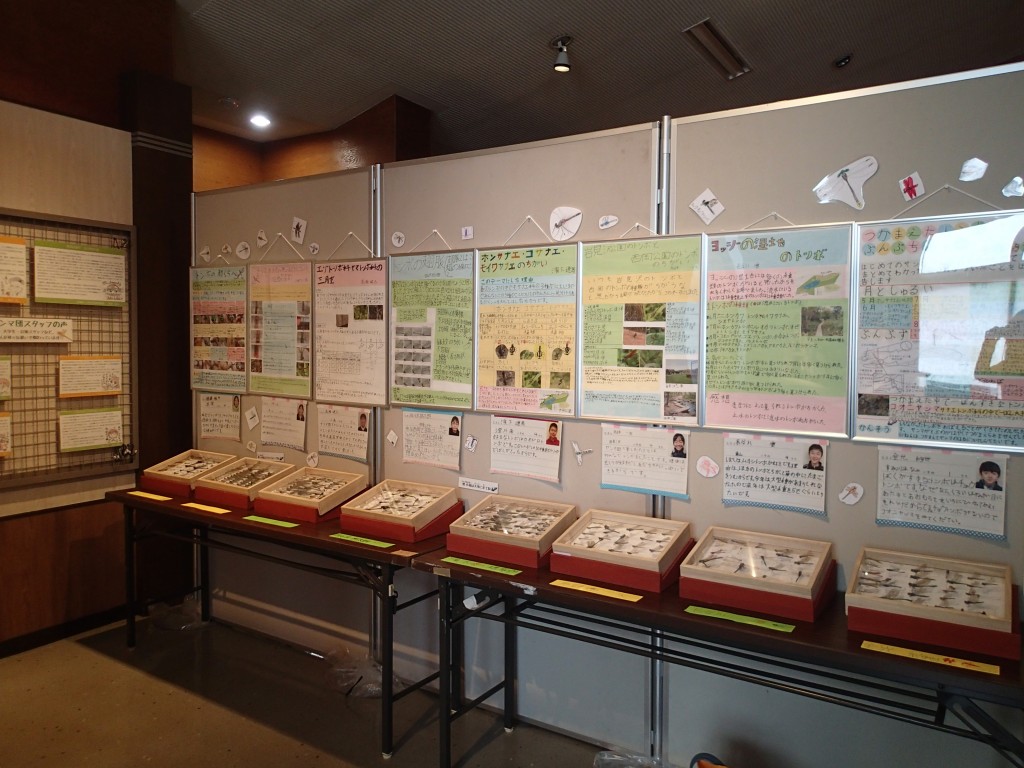 標本箱・ポスター