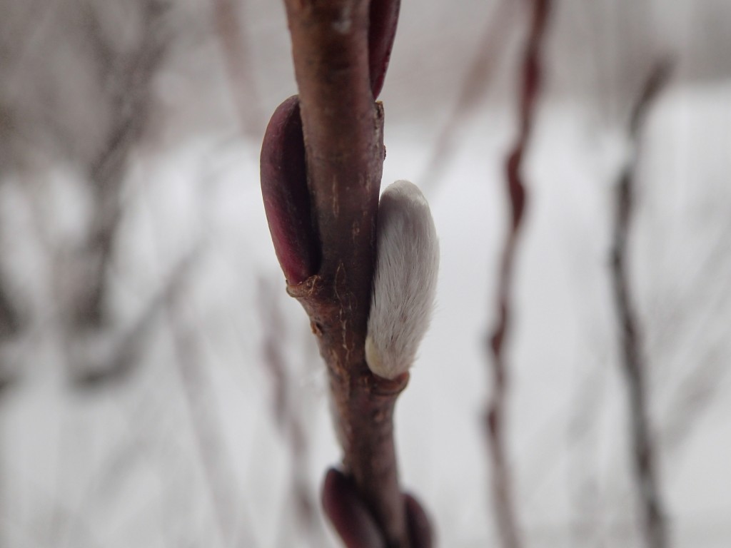 なんとなんと!!