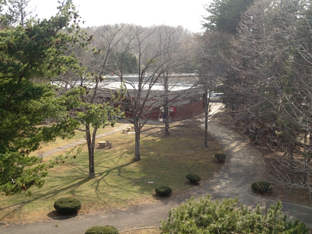 管理事務所周り