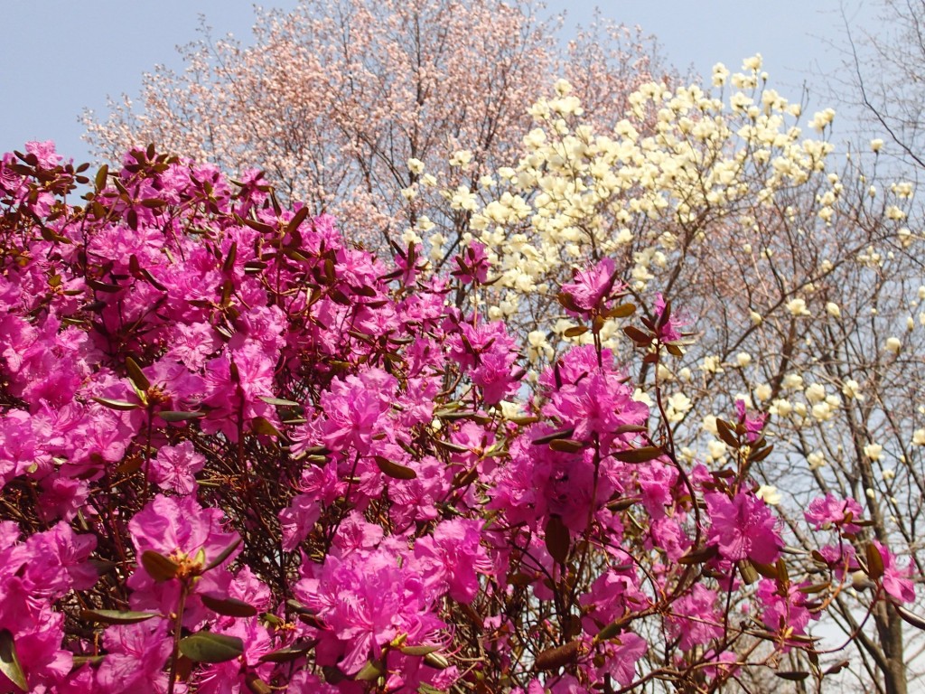 ３原色のコントラスト