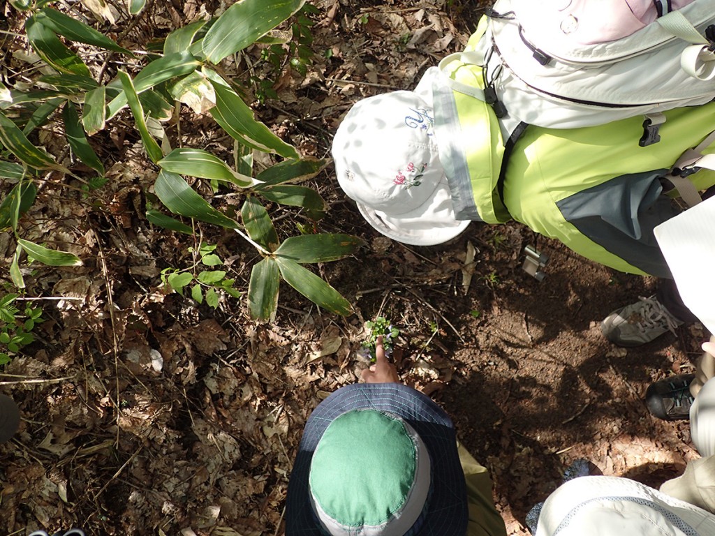 西岡公園ガイドウォーク