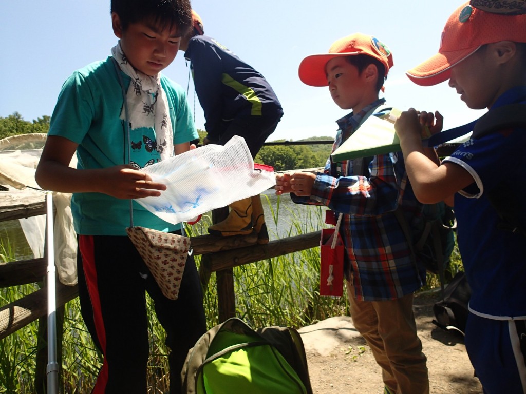 グループリーダー